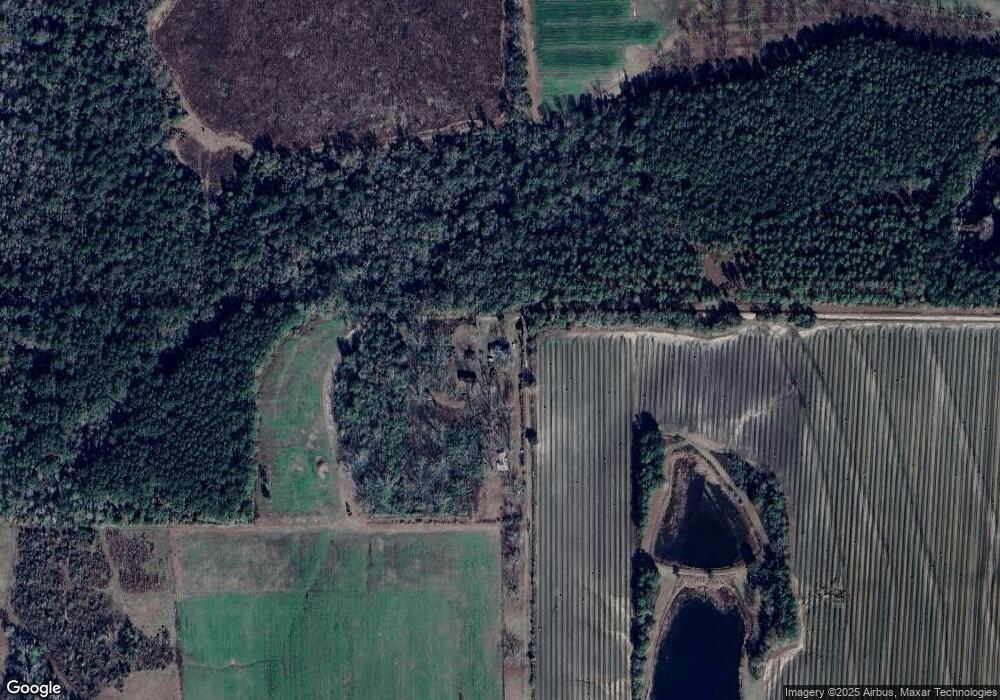 273 Sassafras Ln, Pelham, GA 31779 - photo 1