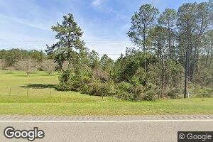 17203 Opp Hwy, Dozier, AL 36028