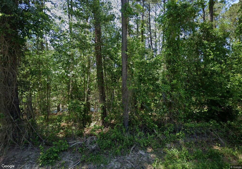 1132 Comalander Dr, Chapin, SC 29036 - photo 1