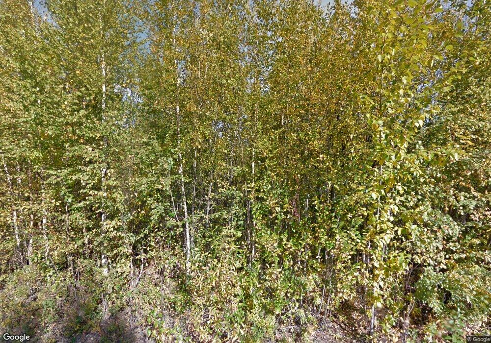 11581 W Wasey Way, Houston, AK 99694 - photo 1