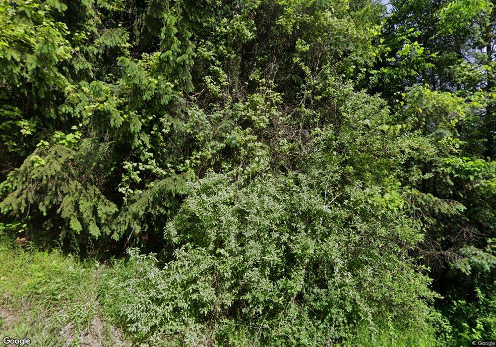 1423 Dryden Hill Rd, Greenwood, NY 14839 - photo 1