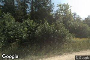 9082 N Updyke Rd, Curtis, MI 49820