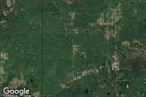 0 Maltby Hills Rd, South Branch, MI 48761