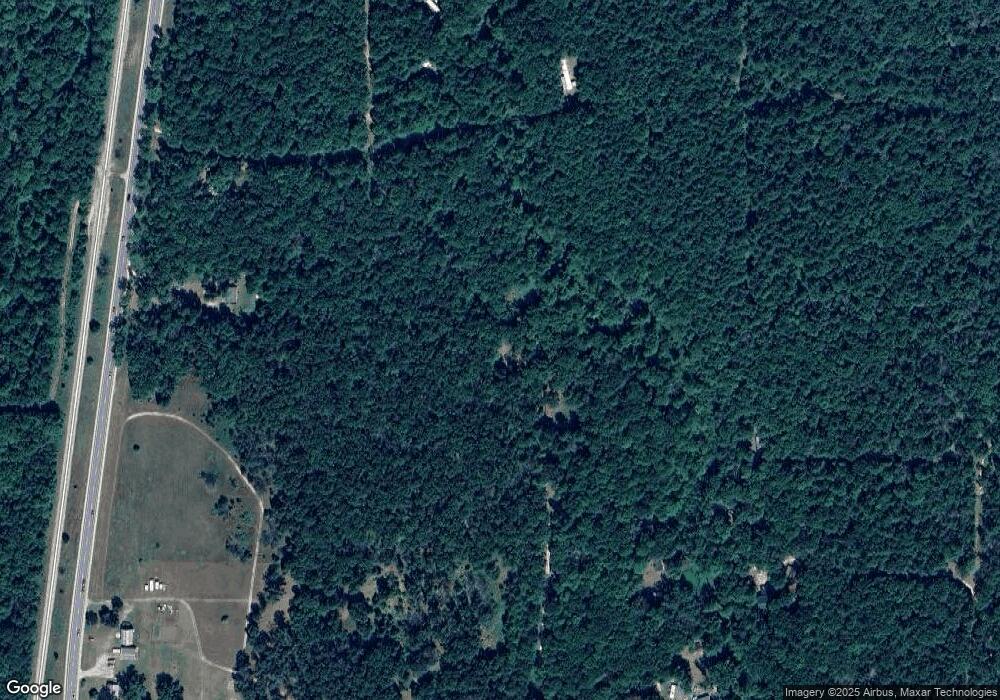 13200 N Woodbridge Ave, Bitely, MI 49309 - photo 1