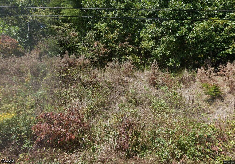 392 Turkey Creek Rd, Leicester, NC 28748 - photo 1