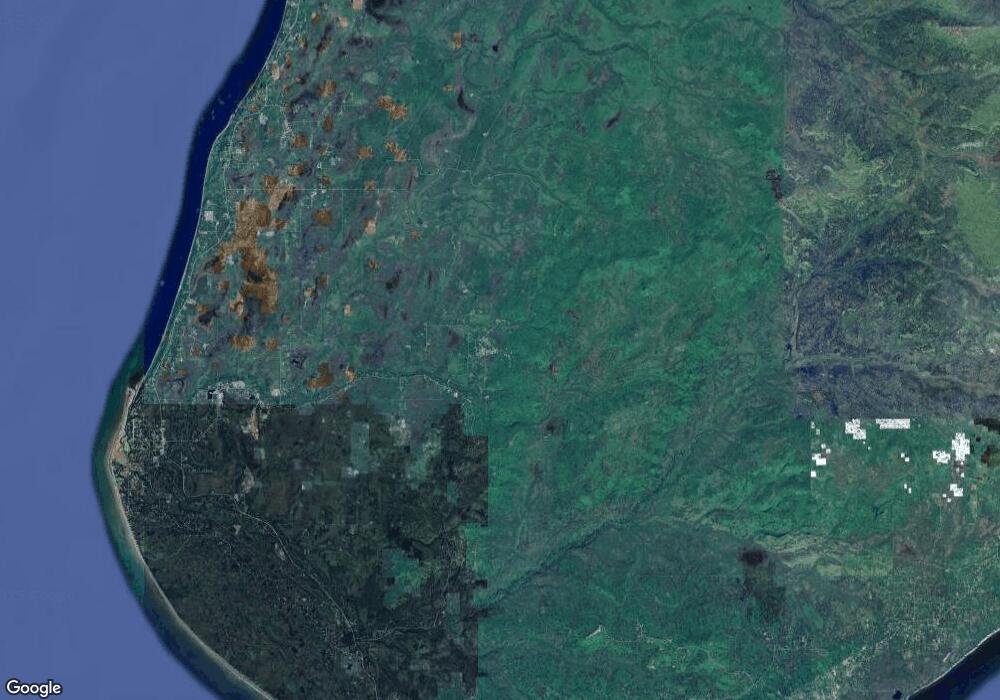 T31 Alaskan Wildwood Ranch, Nikolaevsk, AK 99556 - photo 1