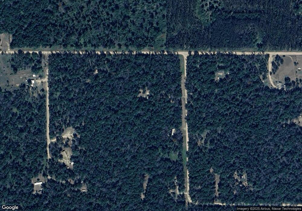 2069 S Leisure Loop, Baldwin, MI 49304 - photo 1