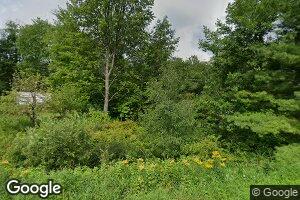 9535 S Bonney Rd, Chase, MI 49623