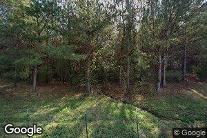 109 County Road 13, Louin, MS 39338