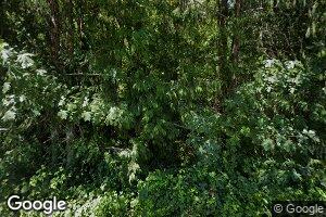 89731 Indian Creek Rd, Swisshome, OR 97480