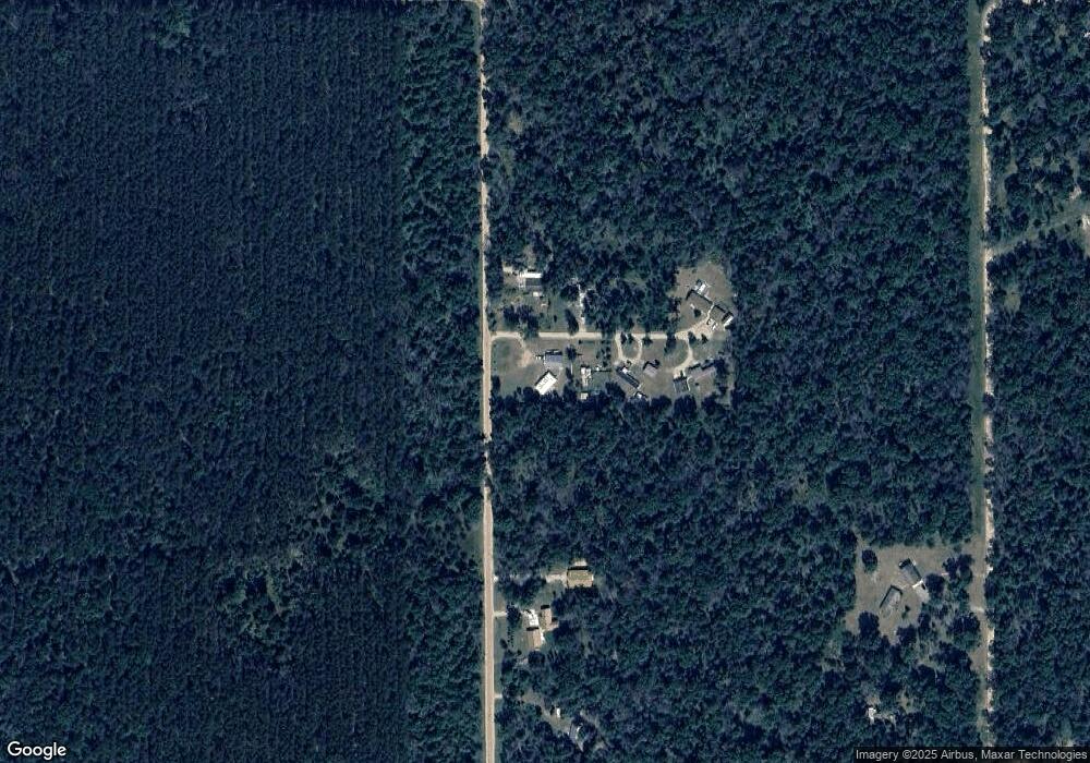 3981 N Hayward Ct, Baldwin, MI 49304 - photo 1