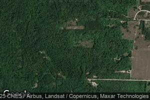 5645 Cupp Rd, Alanson, MI 49706
