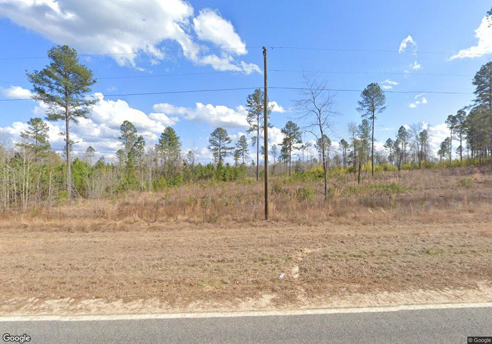 676 Jaybird Springs Rd, Chauncey, GA 31011 - photo 1