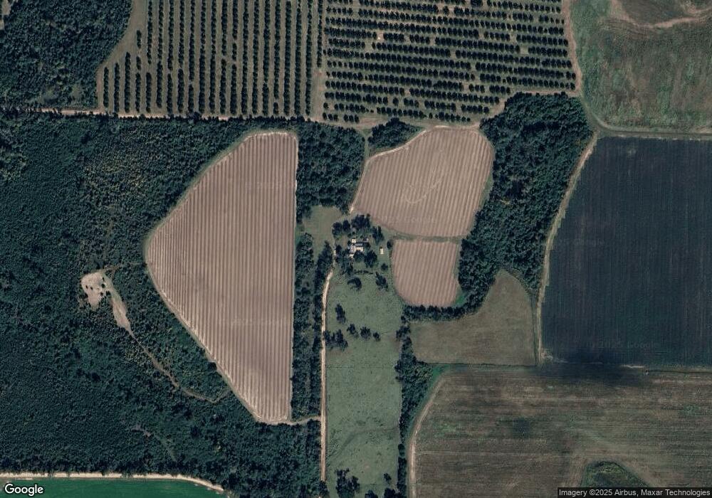 1410 Tom Tabb Rd, Damascus, GA 39841 - photo 1