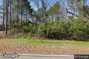 447 N Spring Creek Cir, Cobb, GA 31735