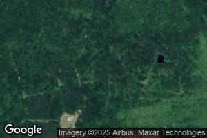 195 Carroll Brasher Rd, Downsville, LA 71234