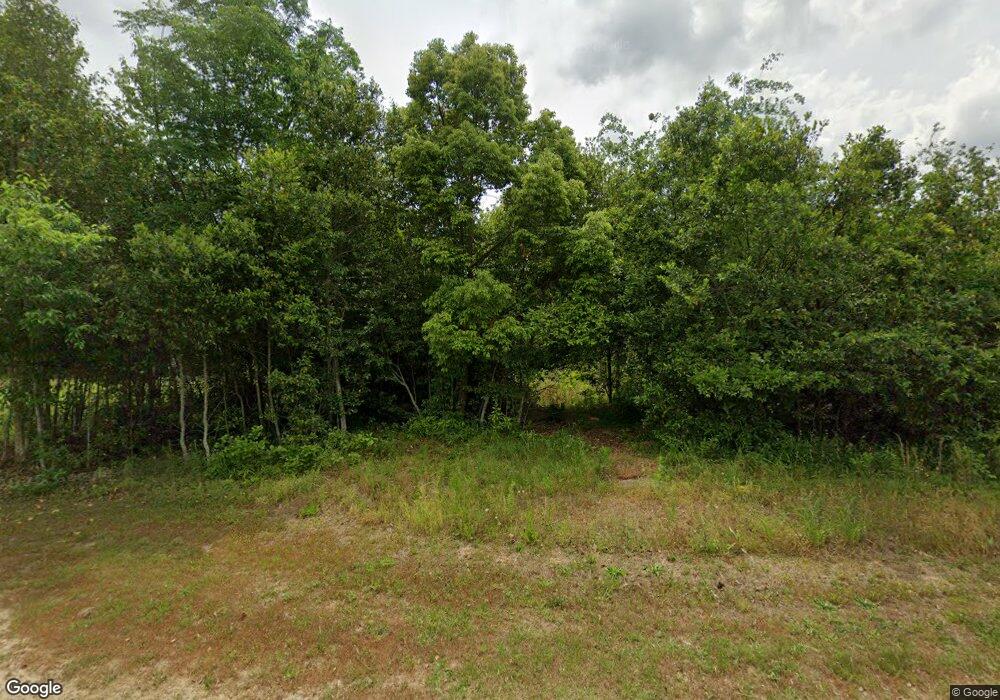 1109 Wray Rd, Wray, GA 31798 - photo 1