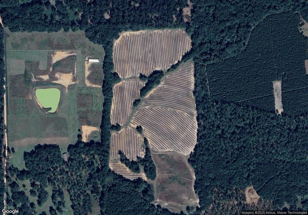 2117 Howard Rd, Pavo, GA 31778 - photo 1