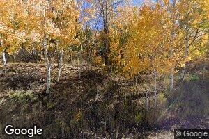1365 Mayflower Ct, Aspen, CO 81611