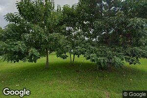 203 S Collins St, Reynolds, GA 31076