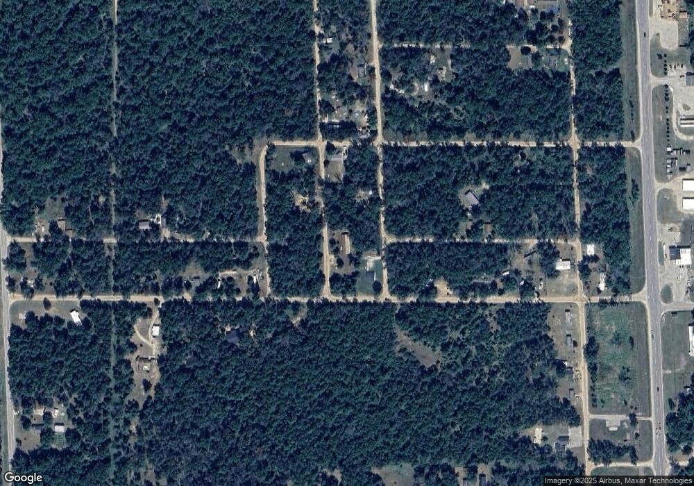 4216 S Princeton Way Ave, Baldwin, MI 49304 - photo 1