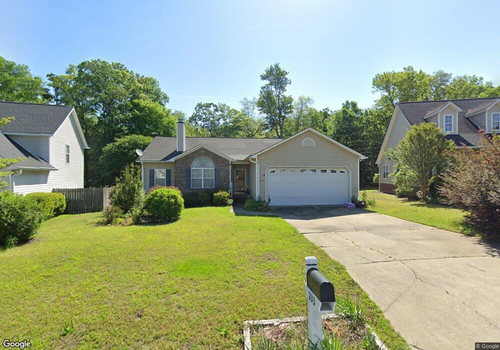 233 Elm Creek Ct, Chapin, SC 29036 - photo 1