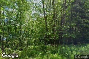 6563 Moersch Ln, Deerbrook, WI 54424