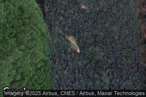 523 Right Fork of Grassy Branch, Raccoon, KY 41557