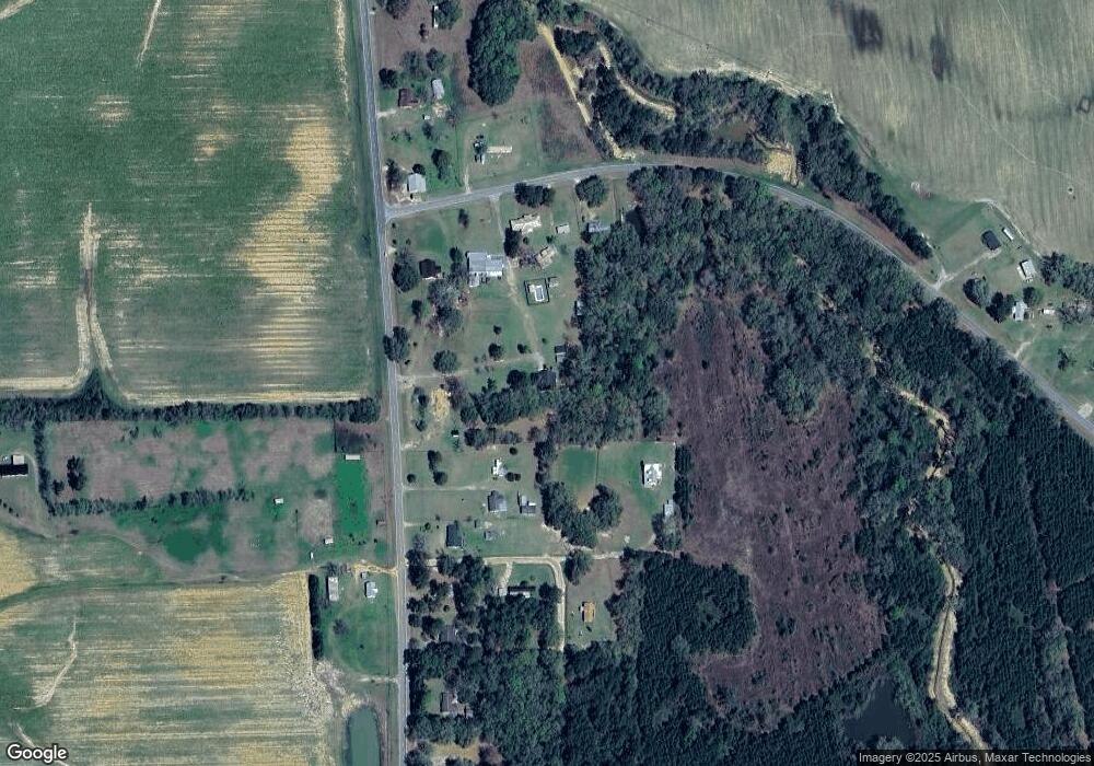 2810 Old Pelham Rd, Pelham, GA 31779 - photo 1