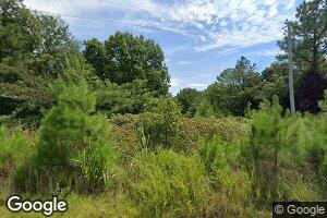 40 Cr 4111, New Site, MI 38859