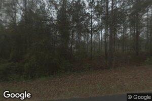 2609 Green Rd, Ellaville, GA 31806