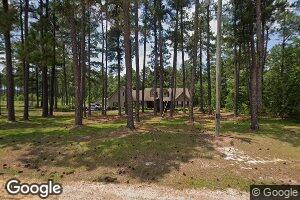 3745 William Dennis Rd, Chauncey, GA 31011