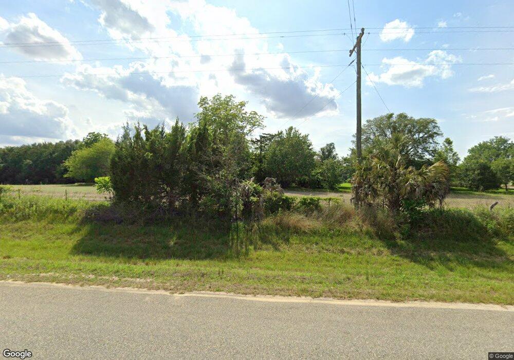 1181 David Newton Rd, Norman Park, GA 31771 - photo 1