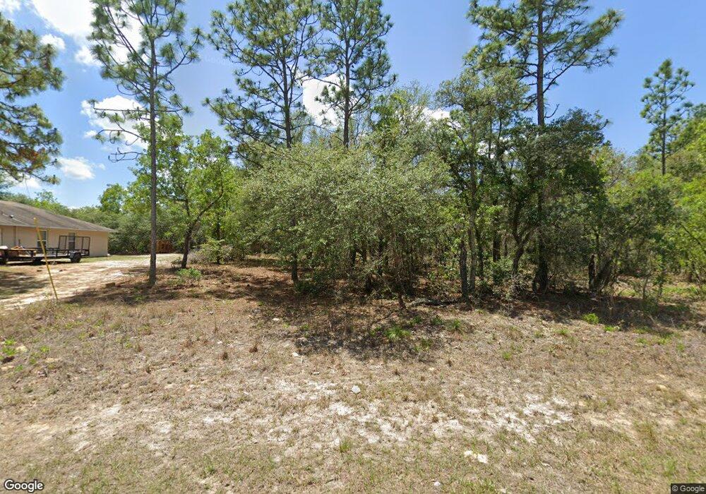 9710 N Calla Lilly Null Way, Citrus Springs, FL 34434 - photo 1