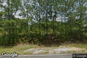 179 Pete Faulk Rd, Ideal, GA 31041