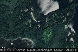 39484 Cedar Heights Rd, Bigfork, MN 56628