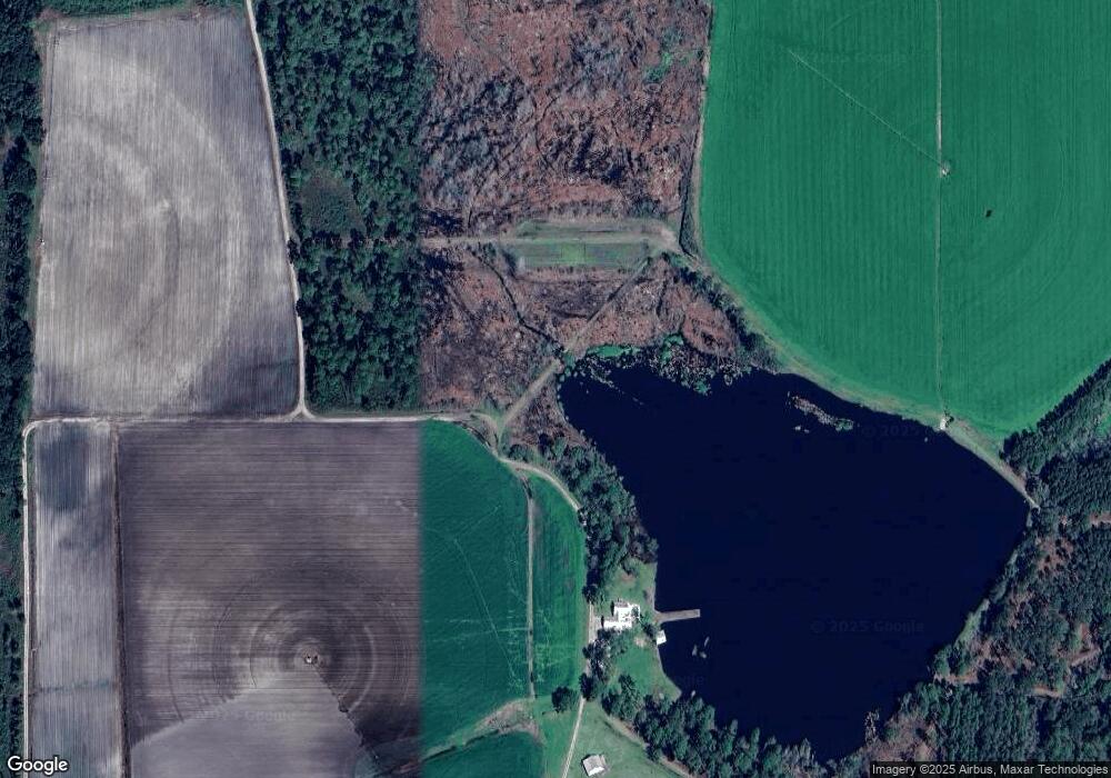 2819 Dry Lake Rd, Dixie, GA 31629 - photo 1