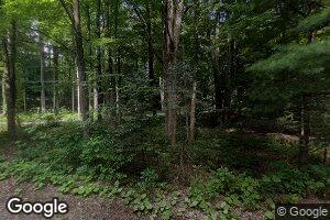 2510 Parsonage Rd, Findley Lake, NY 14736