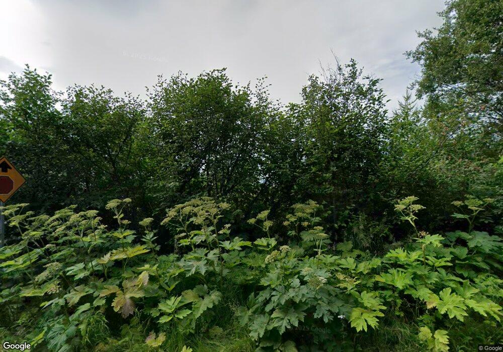 16800 Virgo Ave, Anchorage, AK 99516 - photo 1