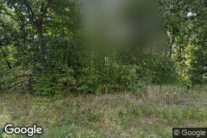 10981 N 1175th St, Watson, IL 62473