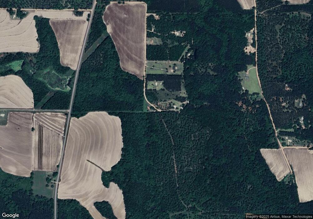 0000 Drury Lane (8 Acres), Meigs, GA 31765 - photo 1