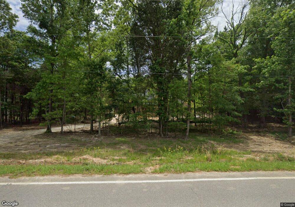 154 Pebble Branch Dr, Chapin, SC 29036 - photo 1