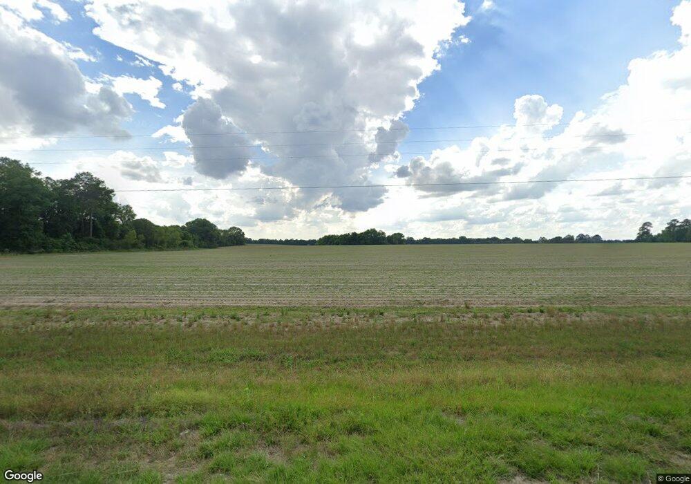 3966 Ga Highway 33 S, Doerun, GA 31744 - photo 1