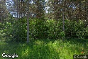 w 10913 Upper Red Lake Rd, Gresham, WI 54128