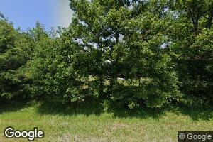 298 Millstone Church Rd, Carlton, GA 30627