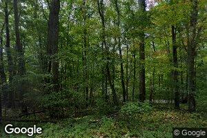 9190 Mapledale Rd, Horton, MI 49246