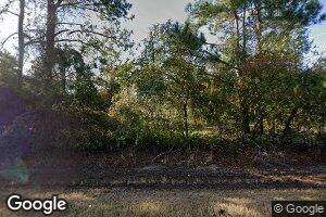 286 Jayne Elizabeth Ln, Pearson, GA 31642