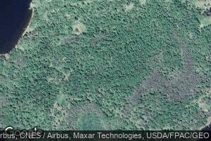 123 Brush Island, Angle Inlet, MN 56711