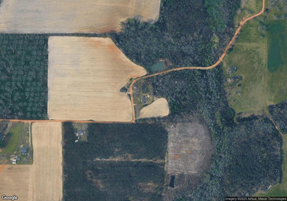 862 Fire Station Rd, Baxley, GA 31513 - photo 1