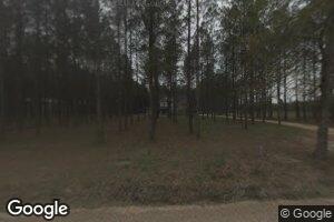 500 Davis Rd, Nevils, GA 31321